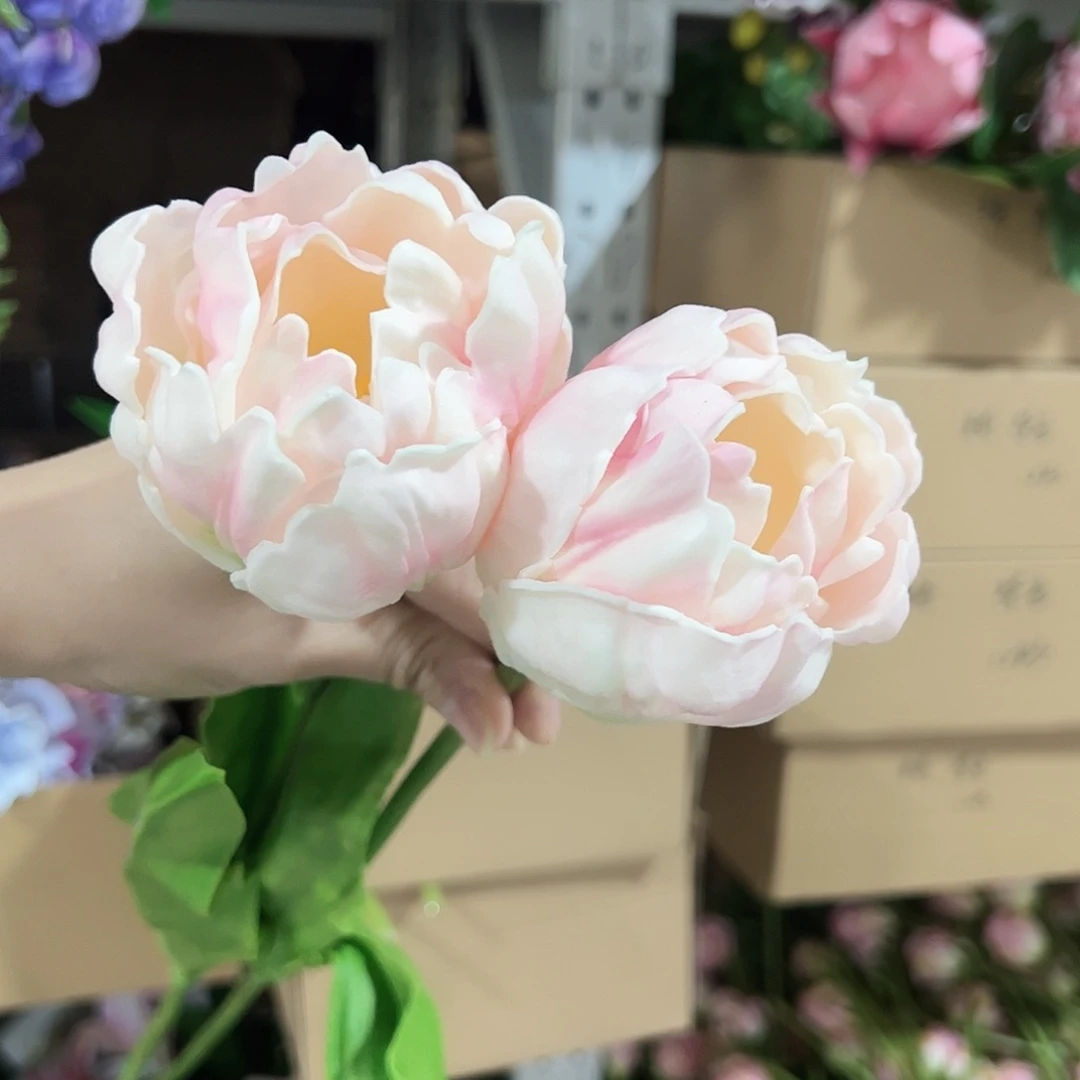 2枝粉色洛可可。