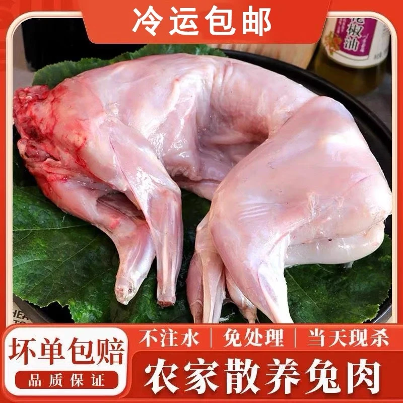 【拍一发三】新鲜农家散养兔现杀兔子兔腿