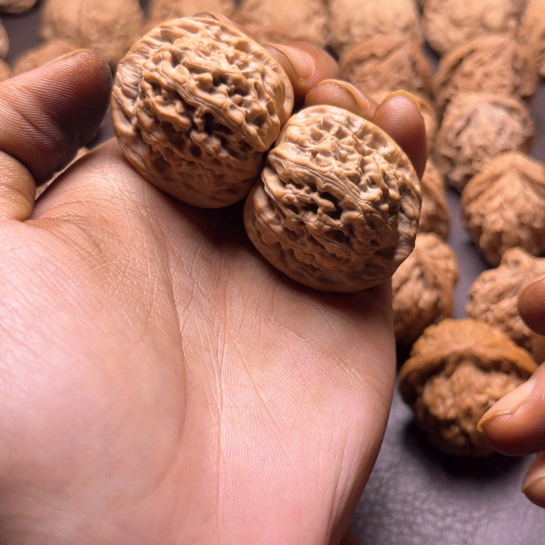 李*泽天地天地天地天地34