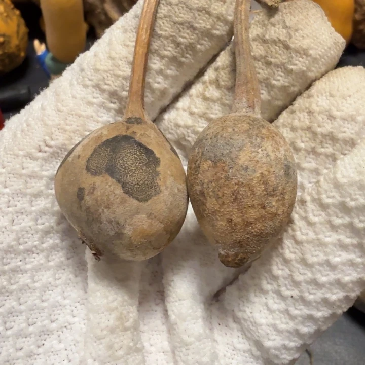 1***道666666677778888899