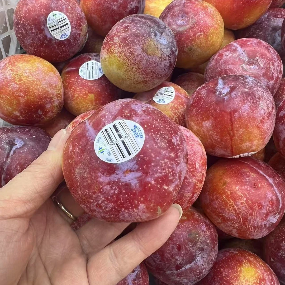 智利珠宝李子500g