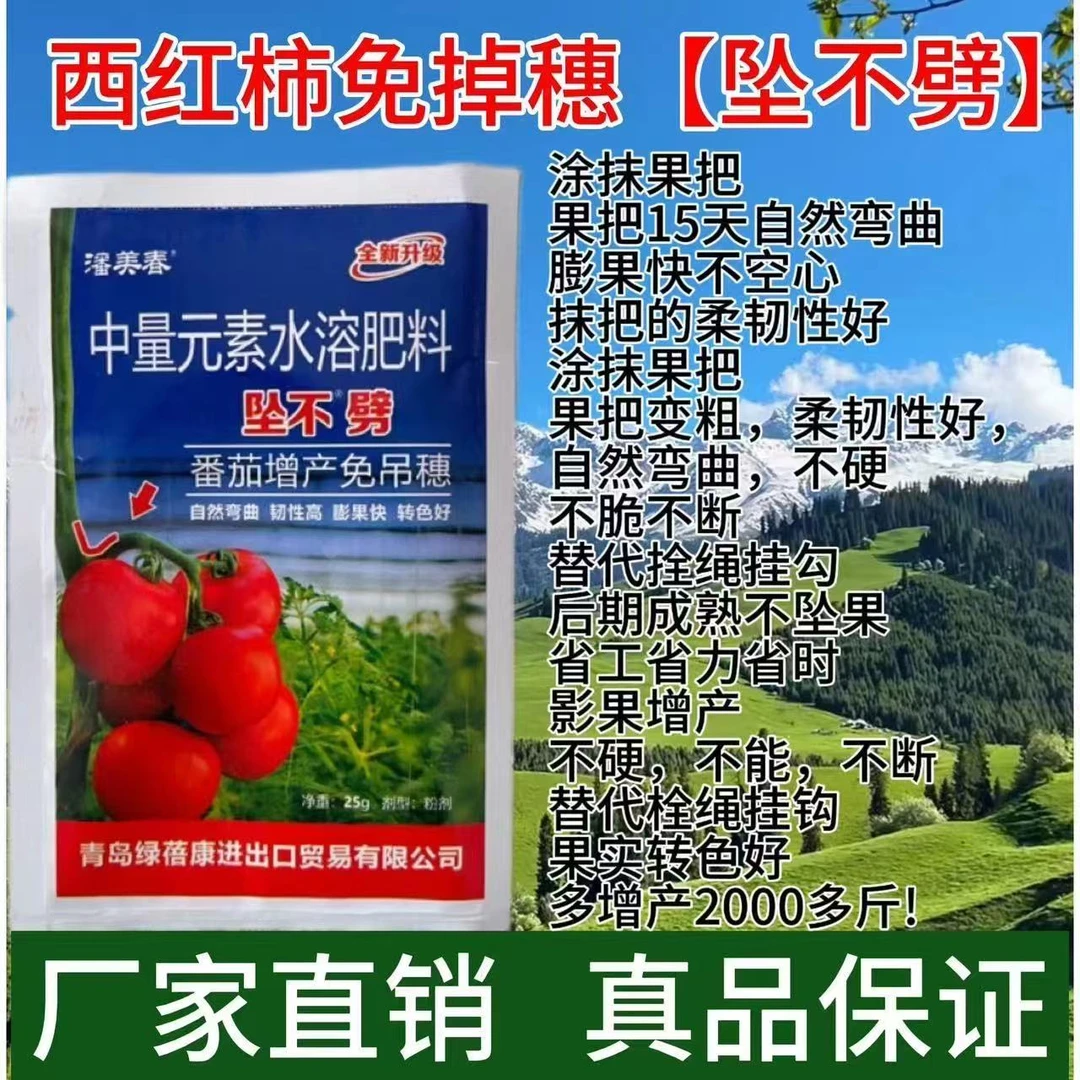 西红柿番茄增产省力省时免吊穗坠不劈有韧性不折枝省力浓缩原粉