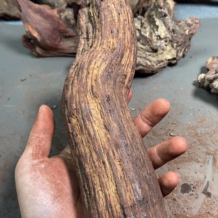 黄花梨/降香黄檀南*海南红降花梨公