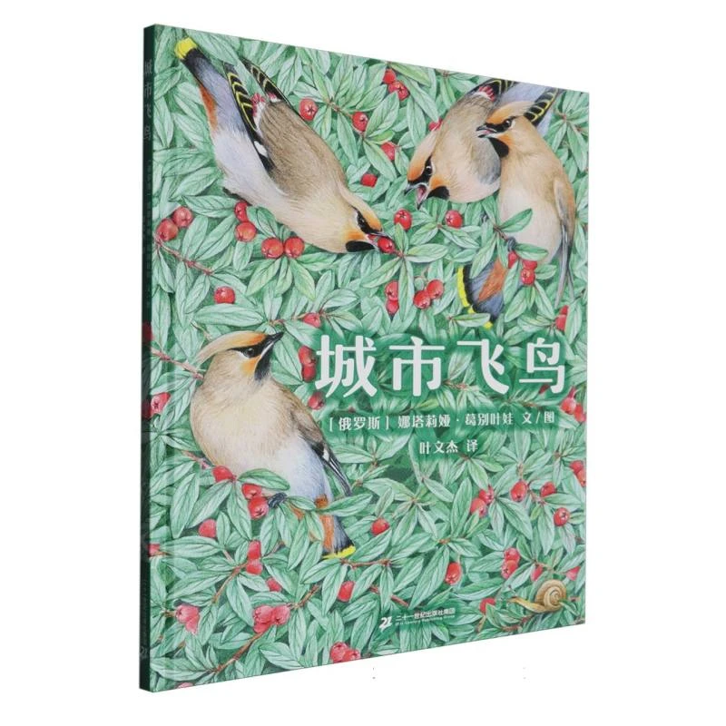 【博库】城市飞鸟 正版书籍