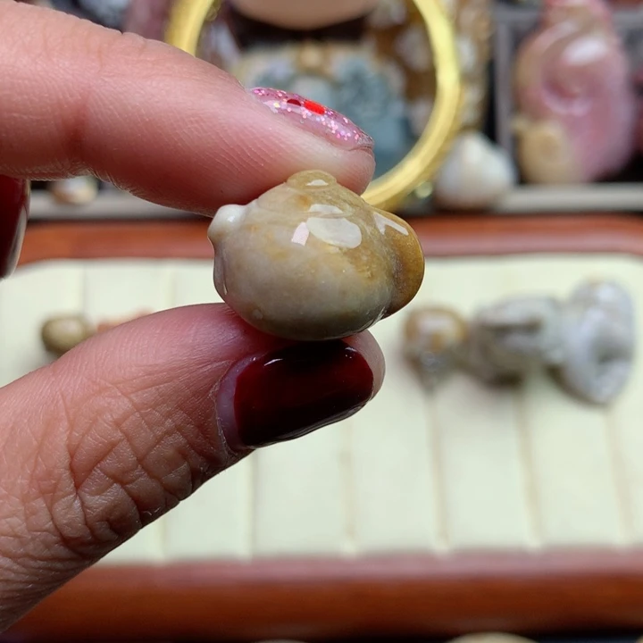 硅化珊瑚（珊瑚玉）颈饰未镶嵌