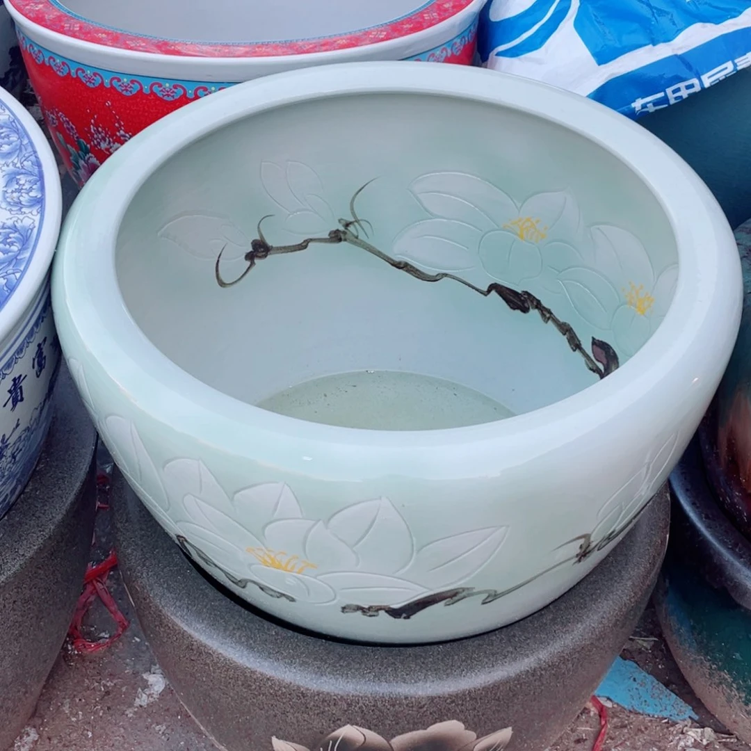 缸玉兰花41✖️25➕十字底座