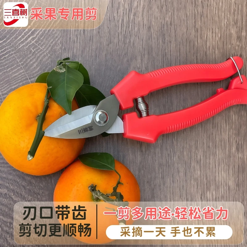 三喜树采果剪园林园艺柑橘橙柚苹果葡萄专用多功能家用嫁接农用