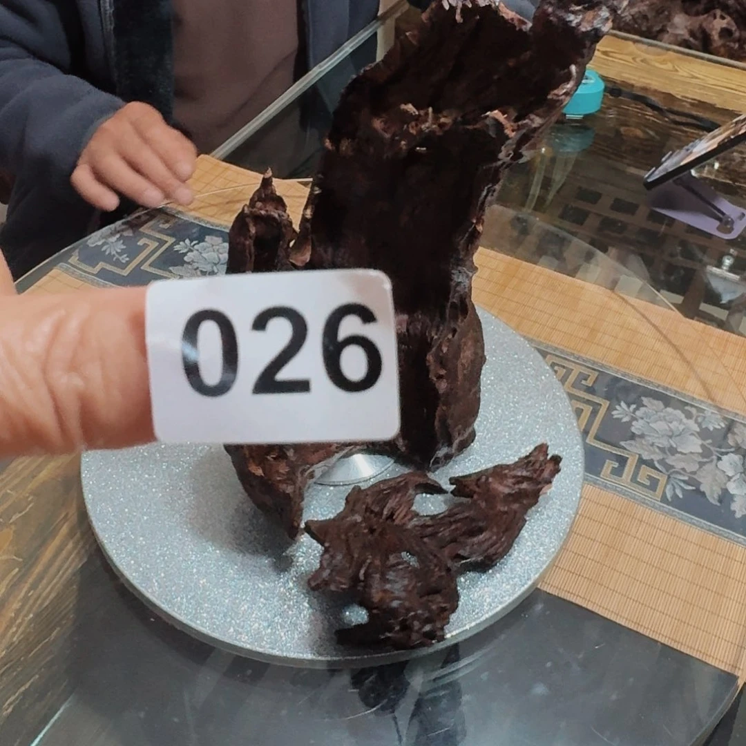 风车木（黑檀木）静*在干嘛的啦不想说，