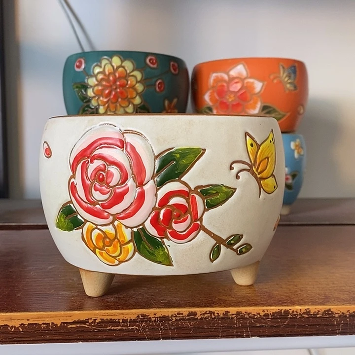 韩式多肉植物花盆