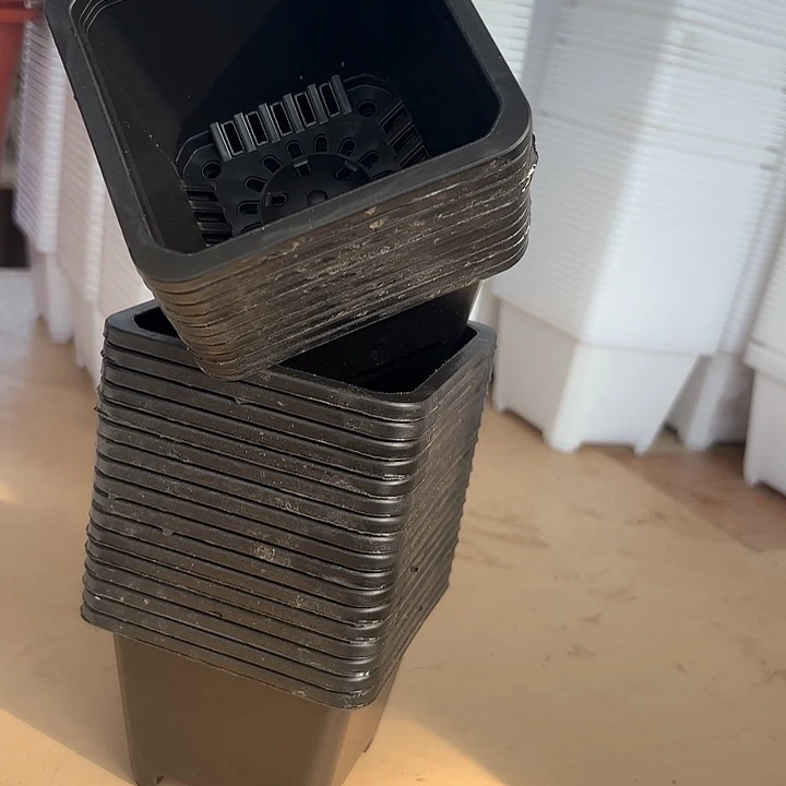 老***孩9公分黑方盆高7公分10个