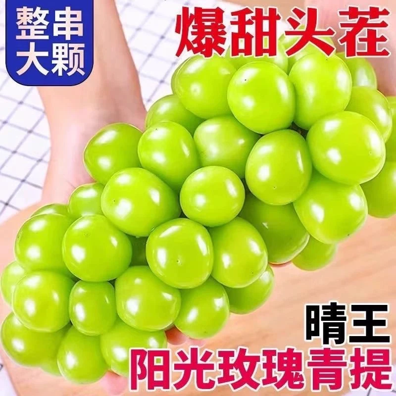 真宗 通道 本土新鲜阳光玫瑰