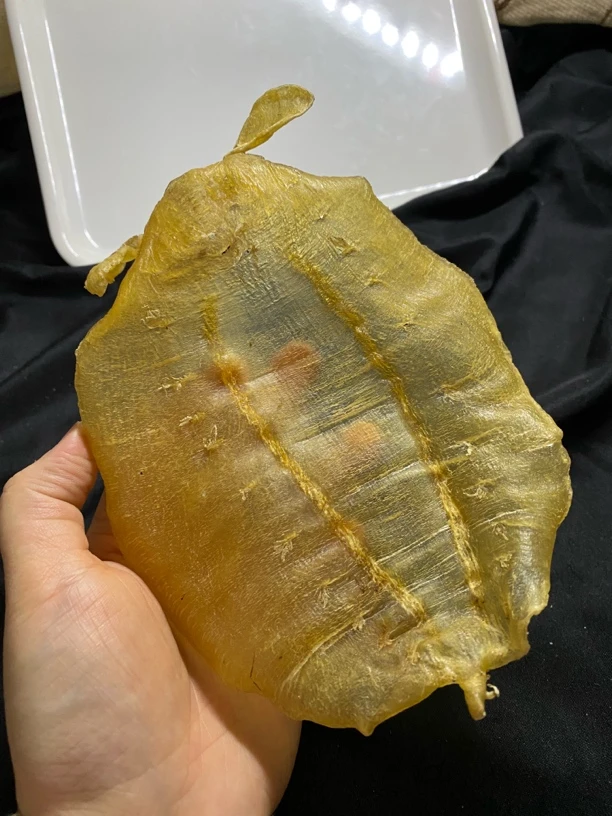 老金兰公赤嘴鱼胶一个按只卖