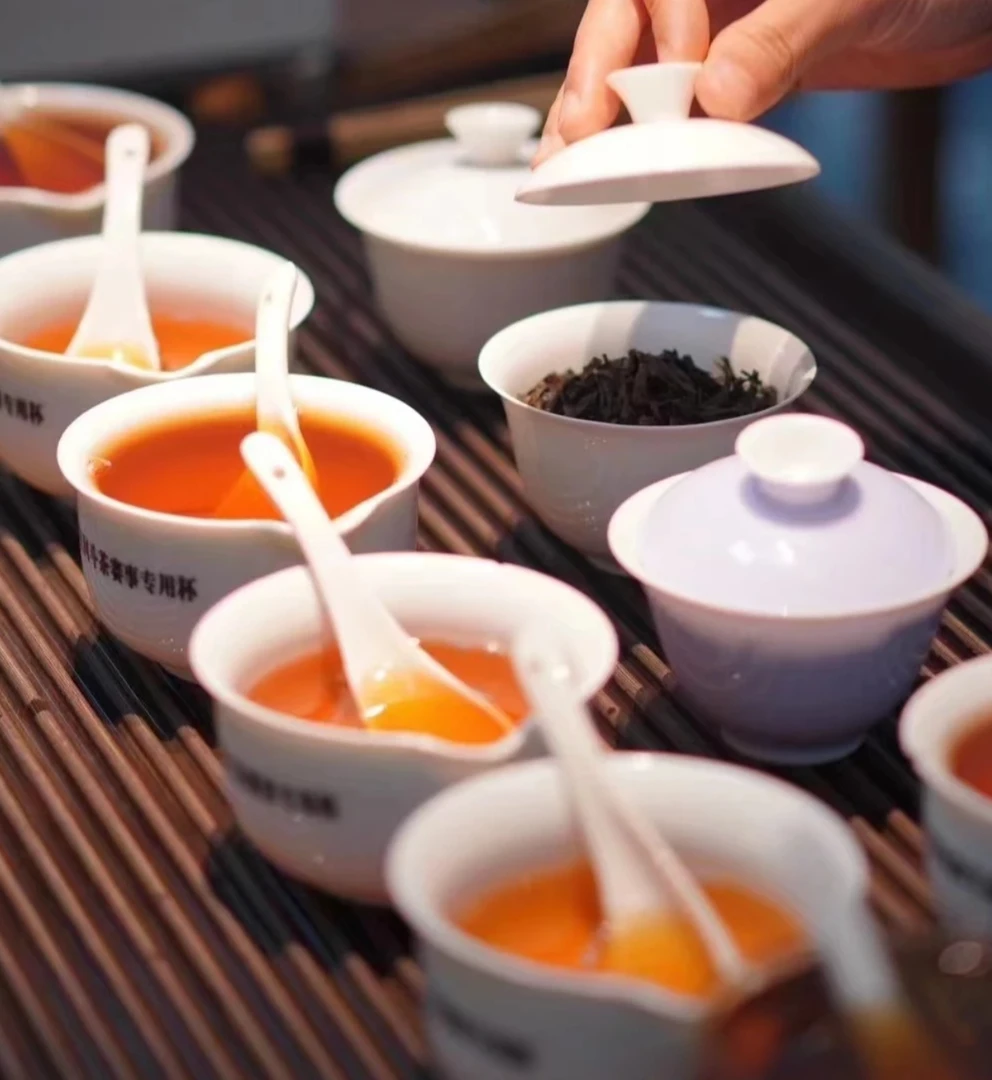 武夷大红袍天心武夷尉【改价链接】支持试喝