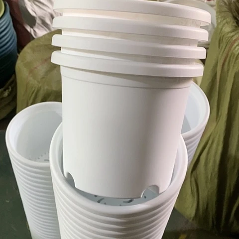 树脂四季2号12个无托白