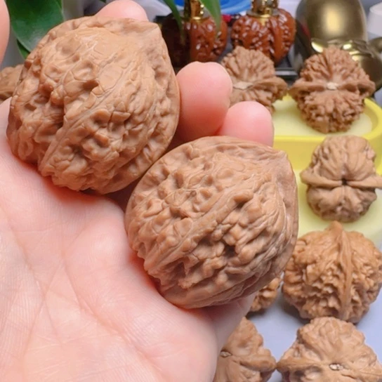41尺野生无名小众