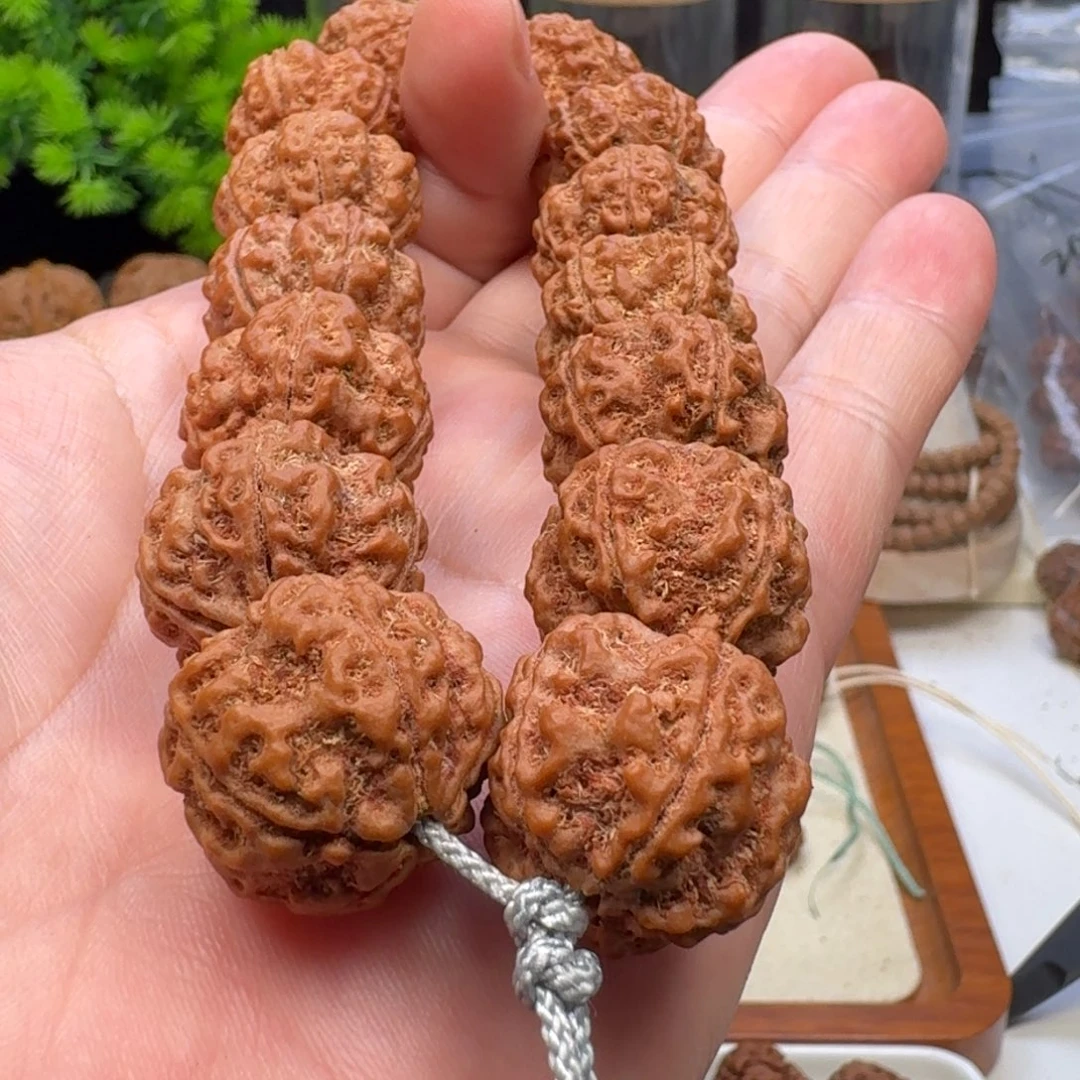 R***m手串金刚菩提双龙