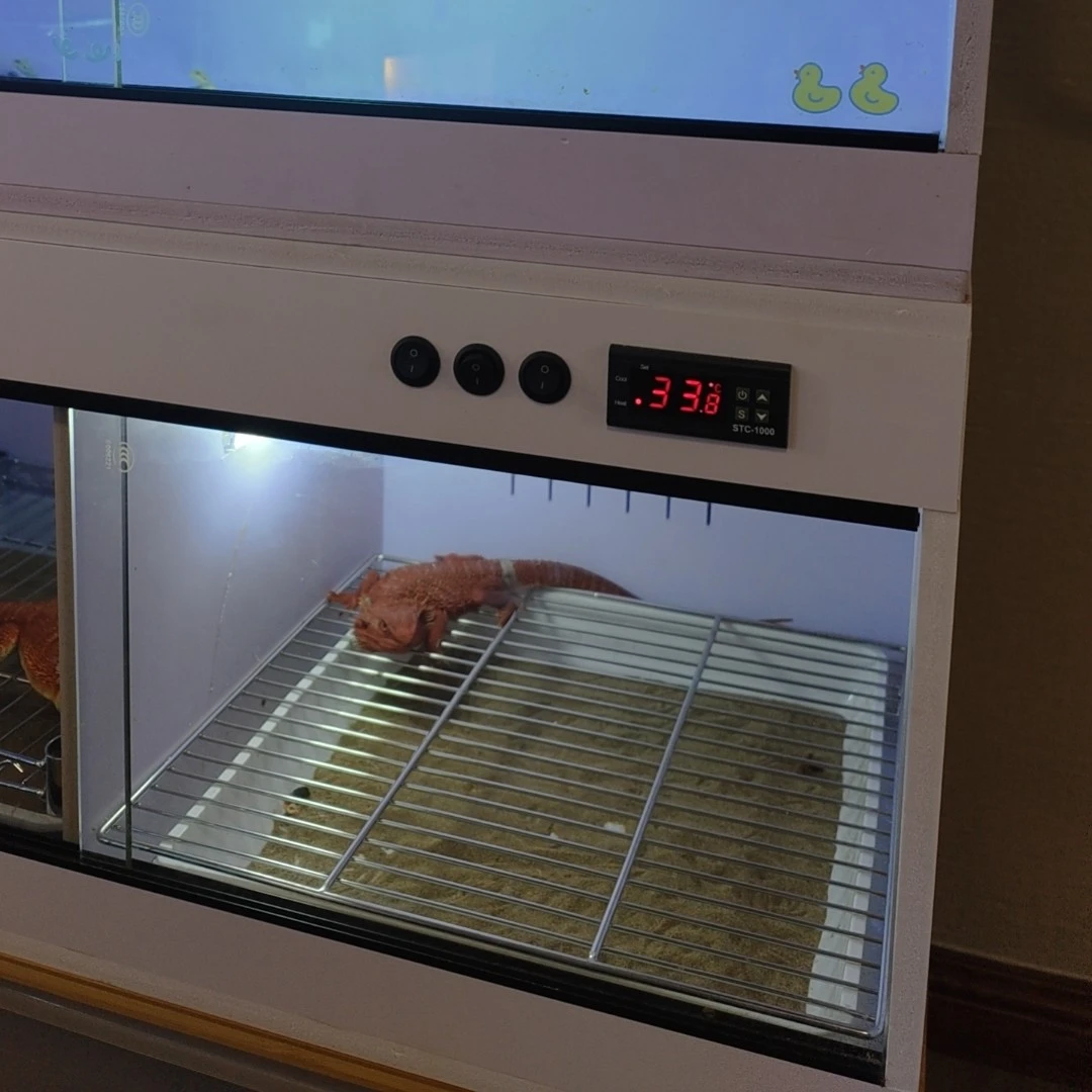 爬宠饲养箱恒温PVC材质适用于陆龟守宫鬃狮蜥等爬虫