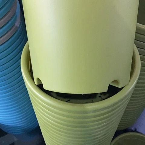 树脂四季4号微瑕果绿无托8个