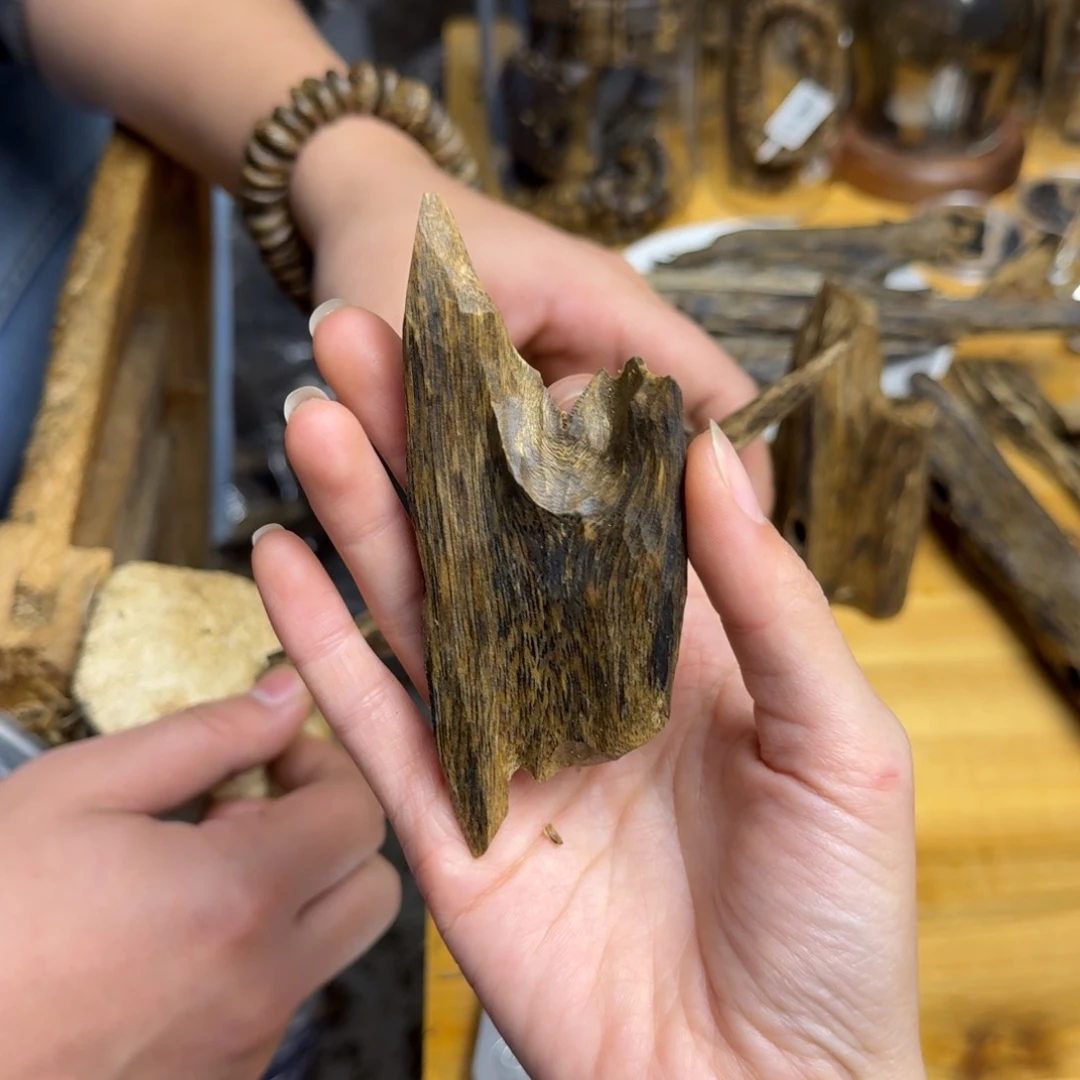 沉香沉香碎屑白棋品种块料18克