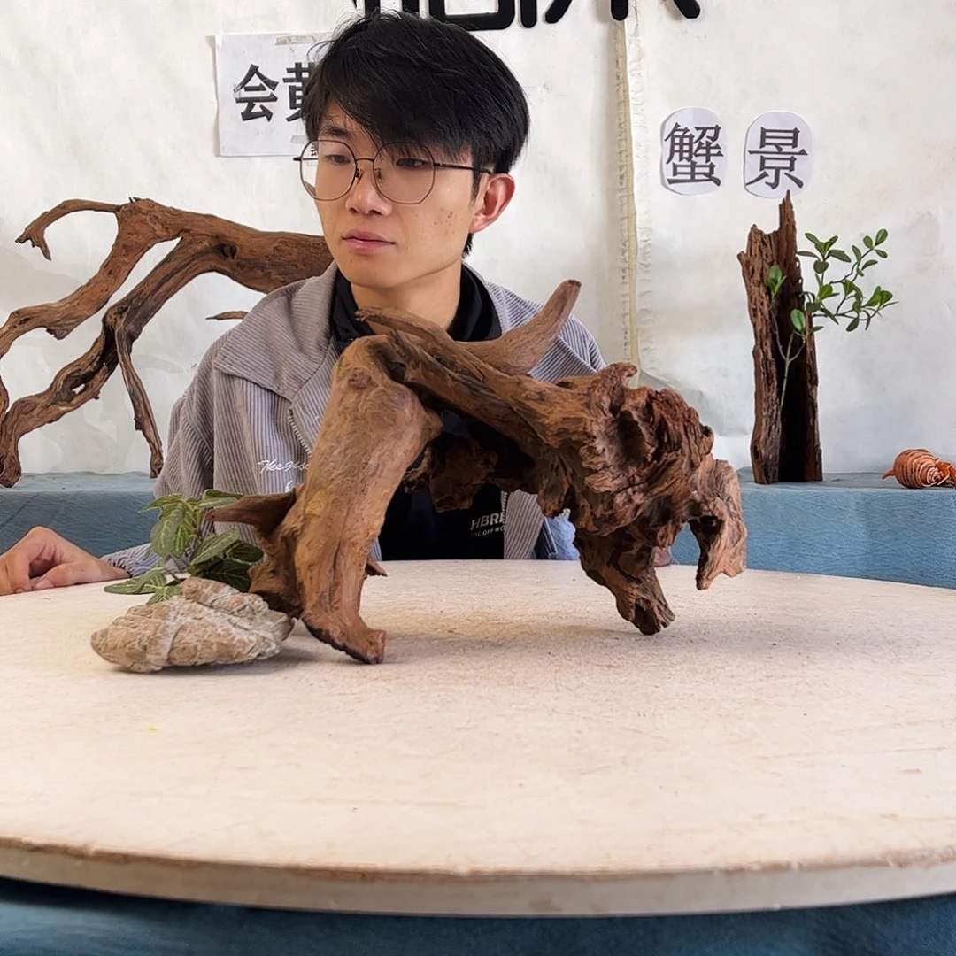 s****n沉木造景爬宠造景