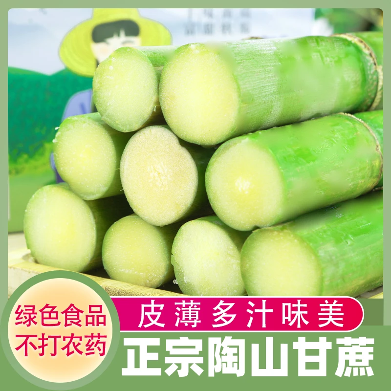 正宗陶山青皮甘蔗果肉独立包装应季新鲜水果绿皮果蔗脆甜多汁顺丰