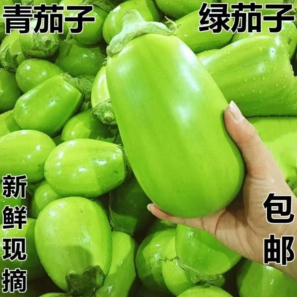 河南特产新鲜现摘青茄子可生吃的农家自种蔬菜