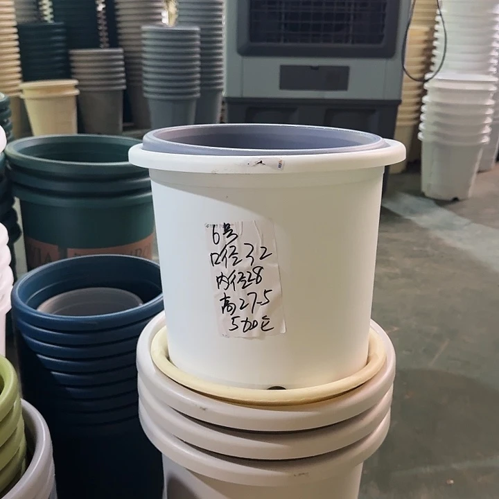 微瑕6#无托纯白色7个