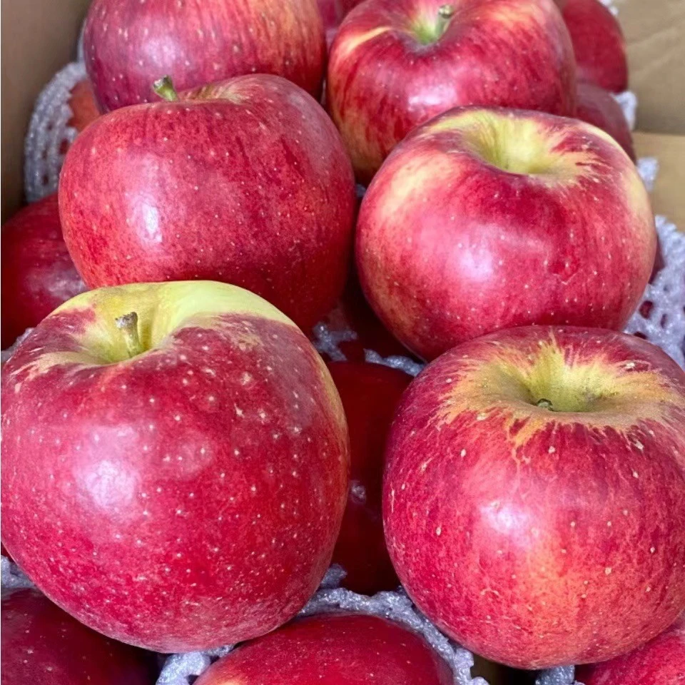 『云南丑苹果』当季现摘红苹果丑苹果新鲜脆甜含箱6斤水果高原种植