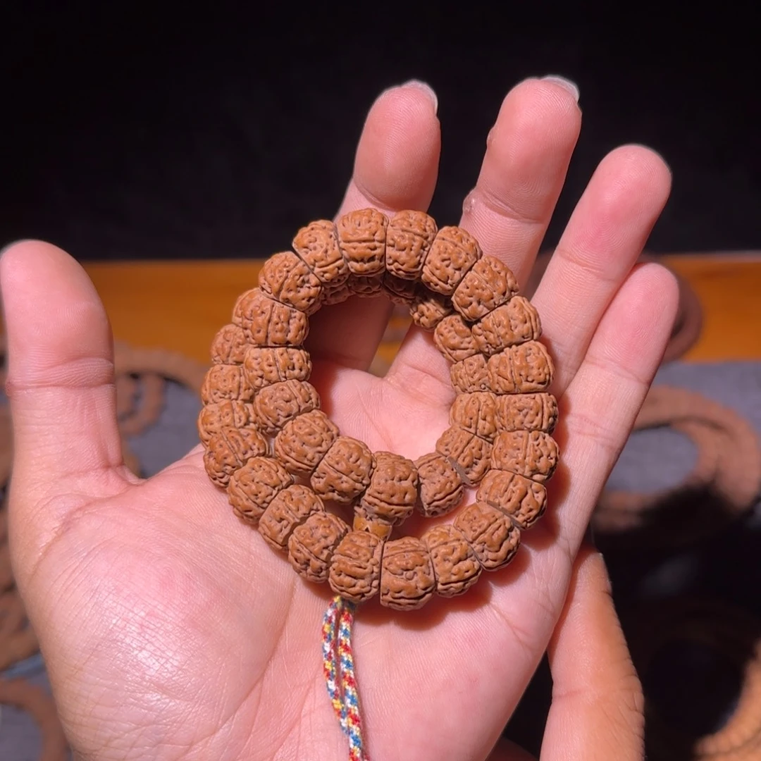 金刚菩提手串老树王大肠