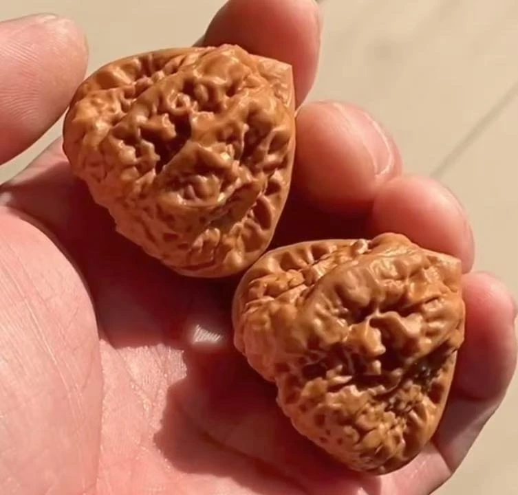 麻核桃延庆蛤蟆头三角蛙平谷元宝粗筋一代果手把件精品配对