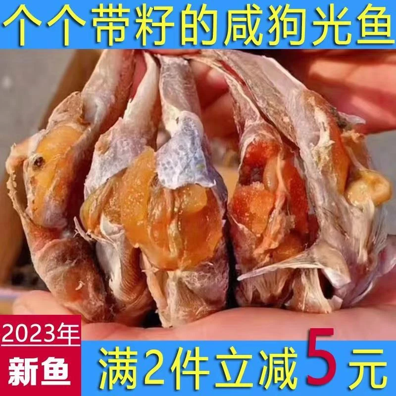 带籽狗光鱼狗杠子鱼渤海湾带籽小咸鱼狗刚鱼胖头鱼500克油光鱼