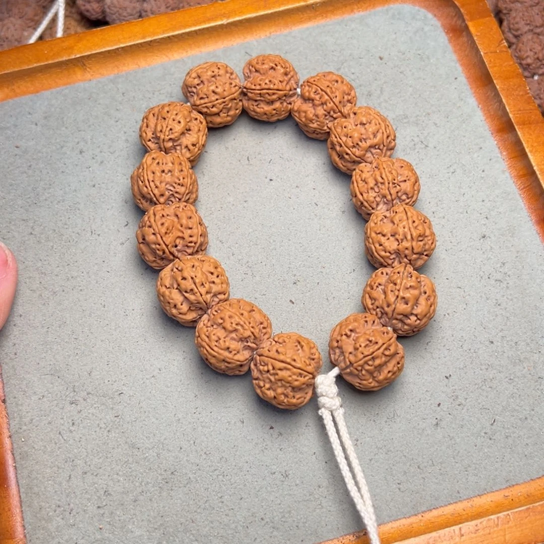 菩提1号金刚菩提满肉双龙22