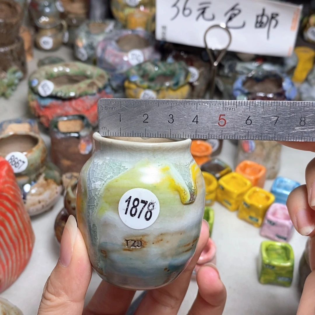 拍5送一个小礼物