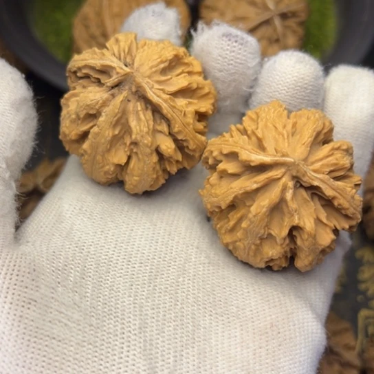 文玩核桃把件秦岭核桃5