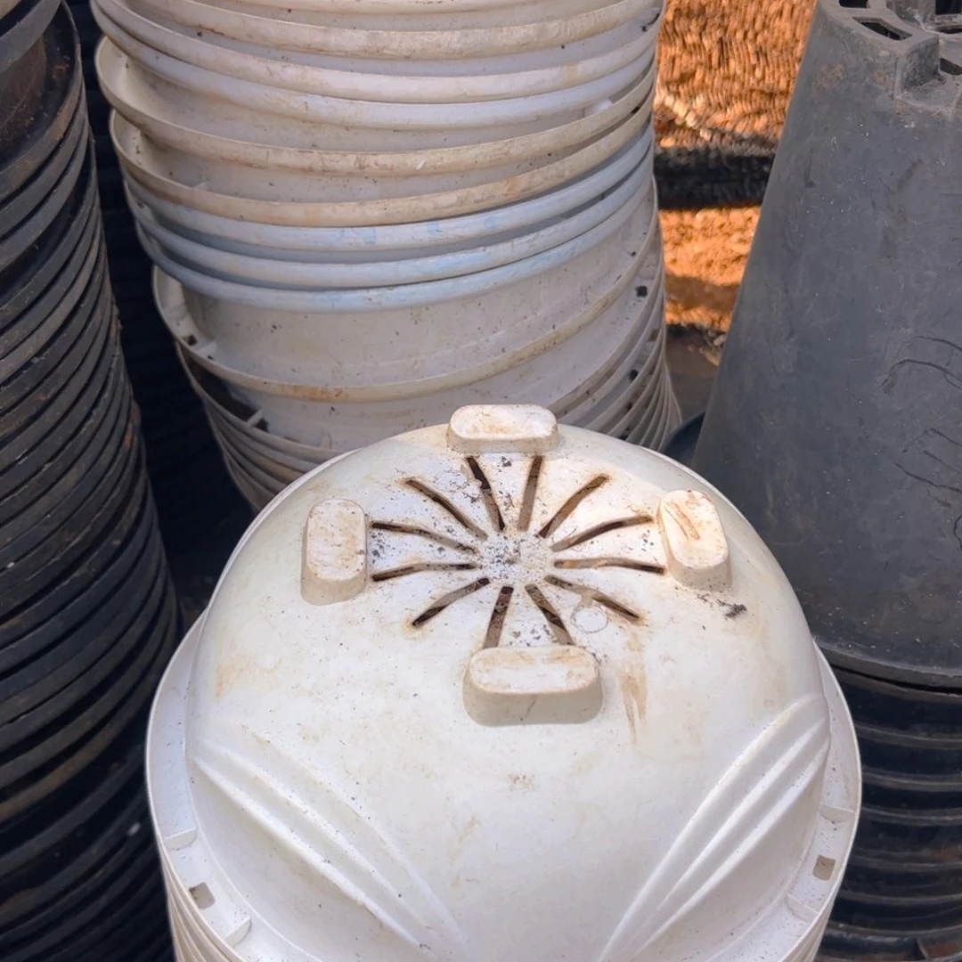 塑料白色吊兰盆21口径9.5高 10个