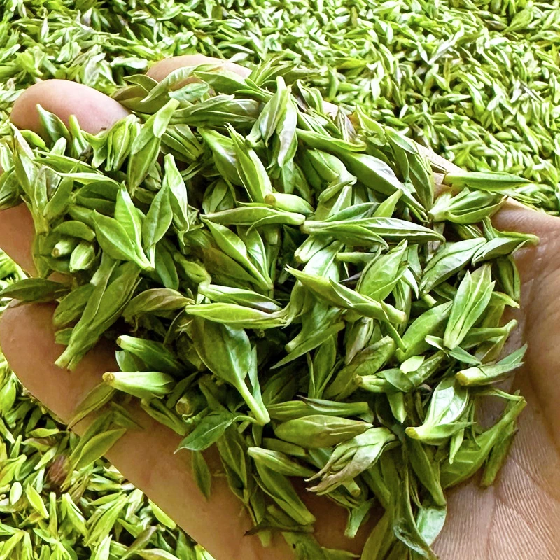2025年新茶叶贵州余庆特产小叶苦丁茶明前青山绿水茶嫩芽散装100g