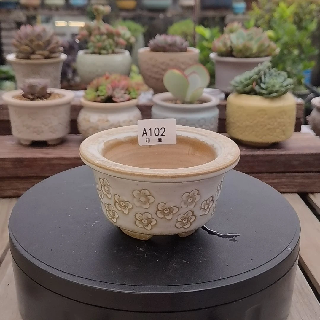 印章多肉花盆A102