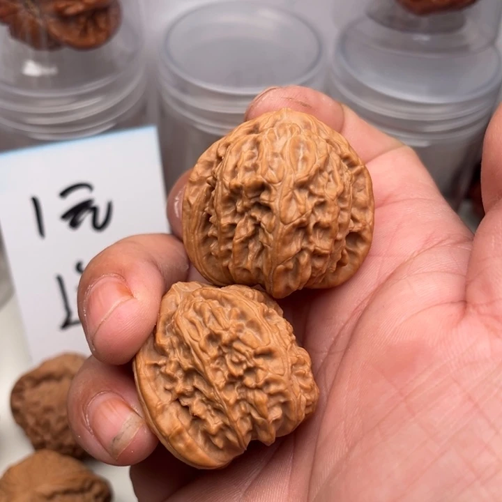 大叶紫檀（黑酸枝木类）