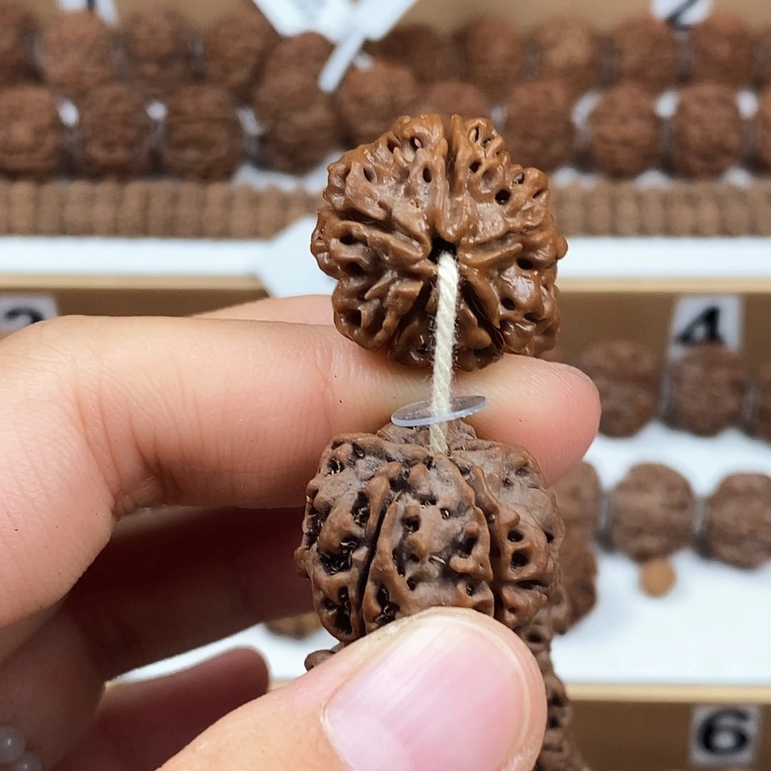 手串金刚菩提精品梅花粗筋蜂窝双龙