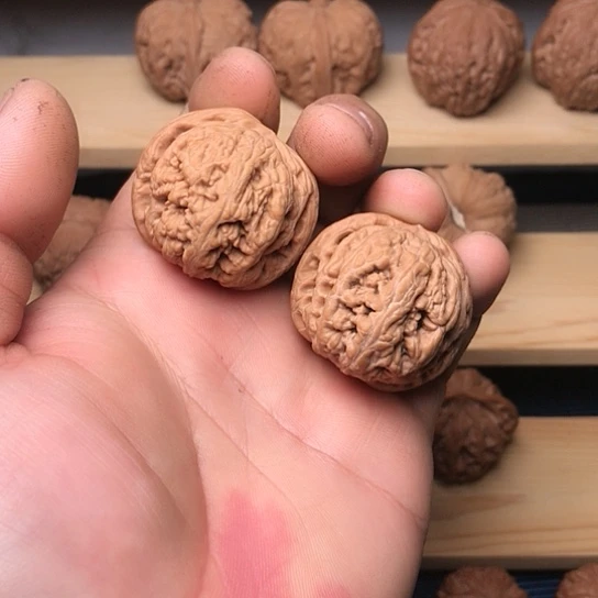 文玩核桃吊坠粗筋