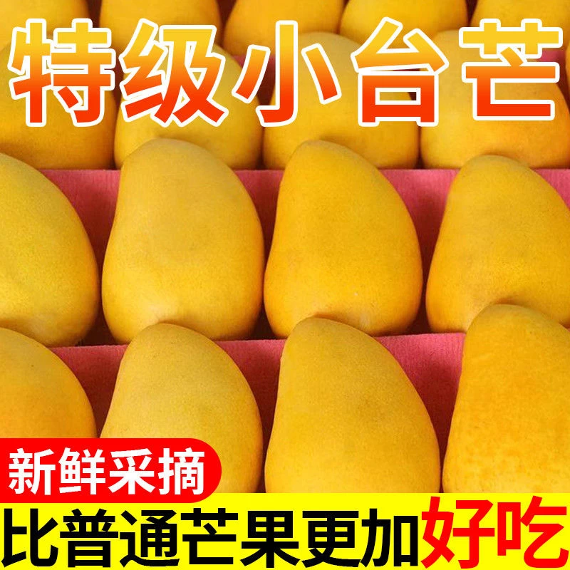 【乡村助农】小台芒当季新鲜现摘应季水果鸡蛋芒薄皮台农芒果精选货