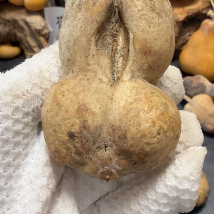 瑞***禄抽和裂6666677777777