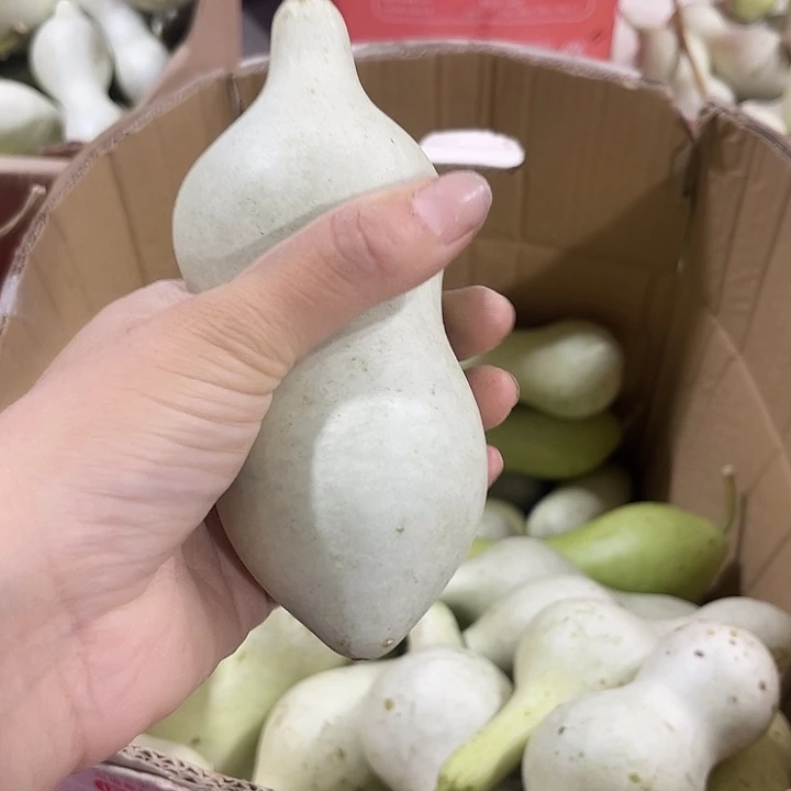 非洲紫檀（红花梨）五**神