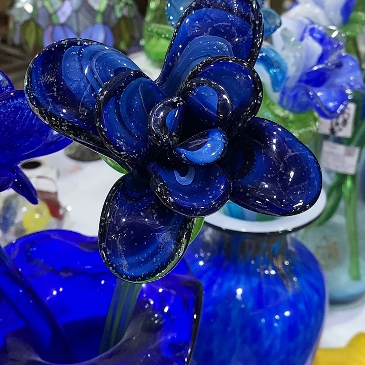 夜光花高45厘米宽12厘米