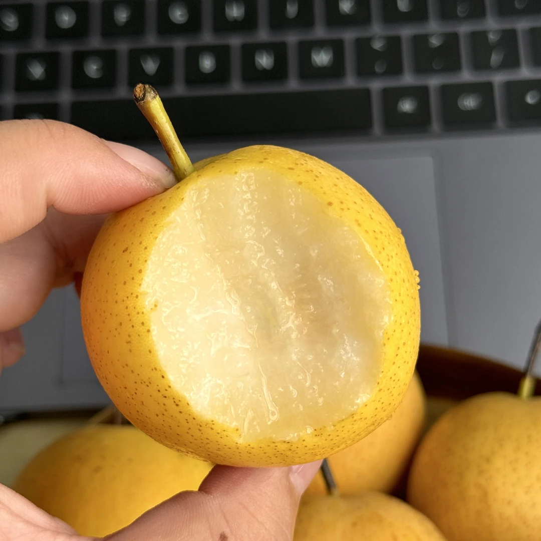 辽宁鞍山南果梨笨南果新鲜水果当季美味