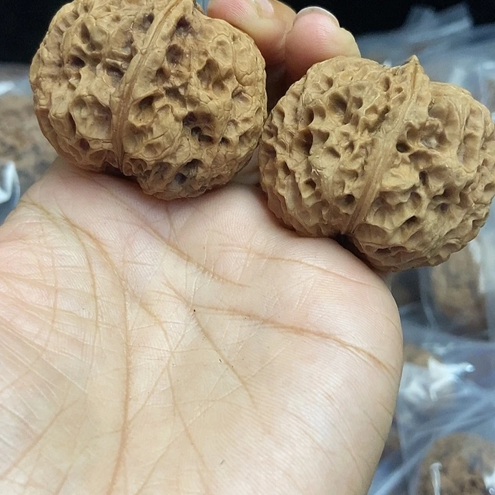 木质类云南铁核桃基地42