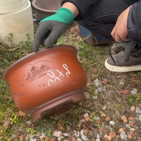 紫砂花盆紫砂花盆盆景盆栽