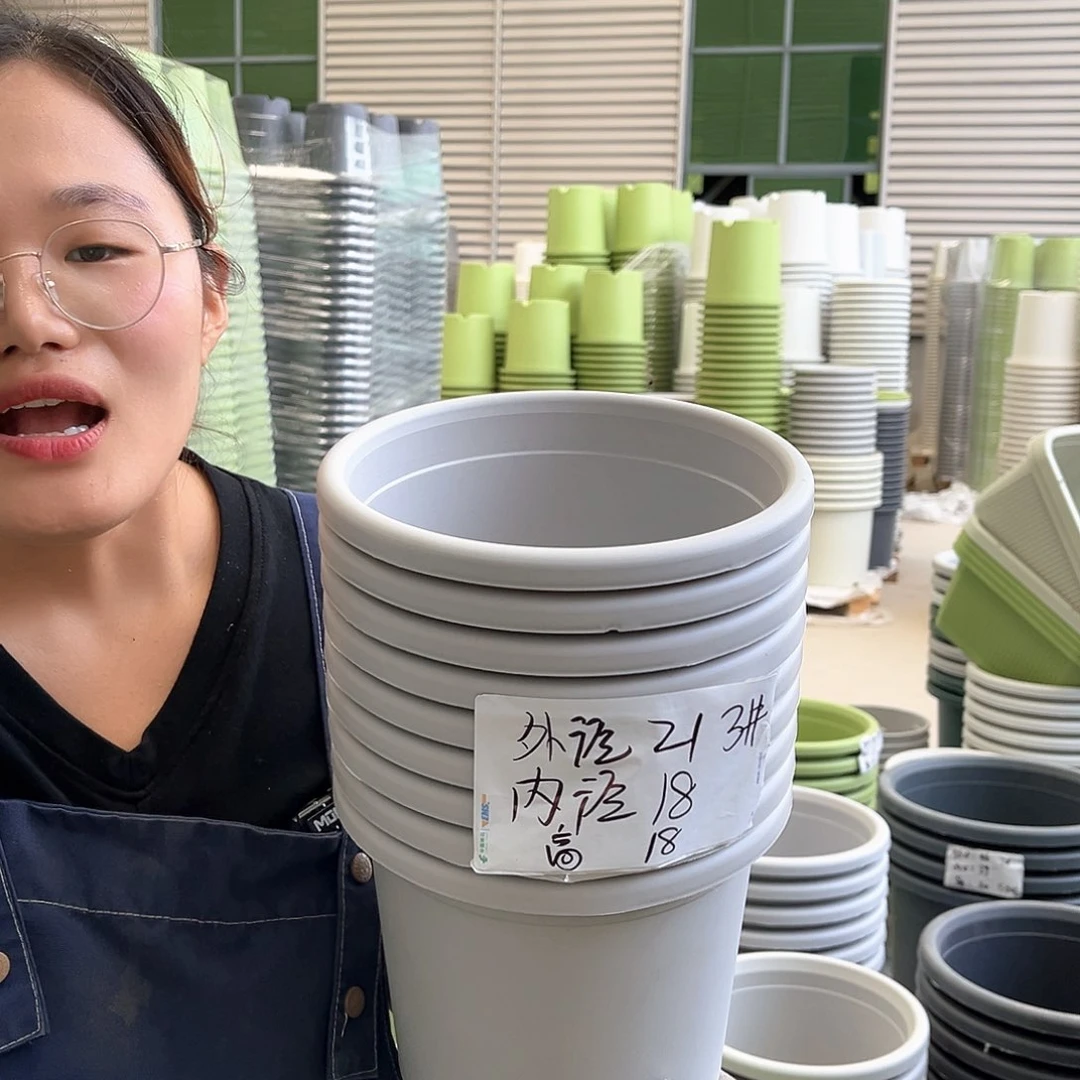 四季盆3#灰白色10个含托