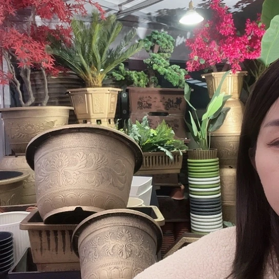 复合盆景8969888665