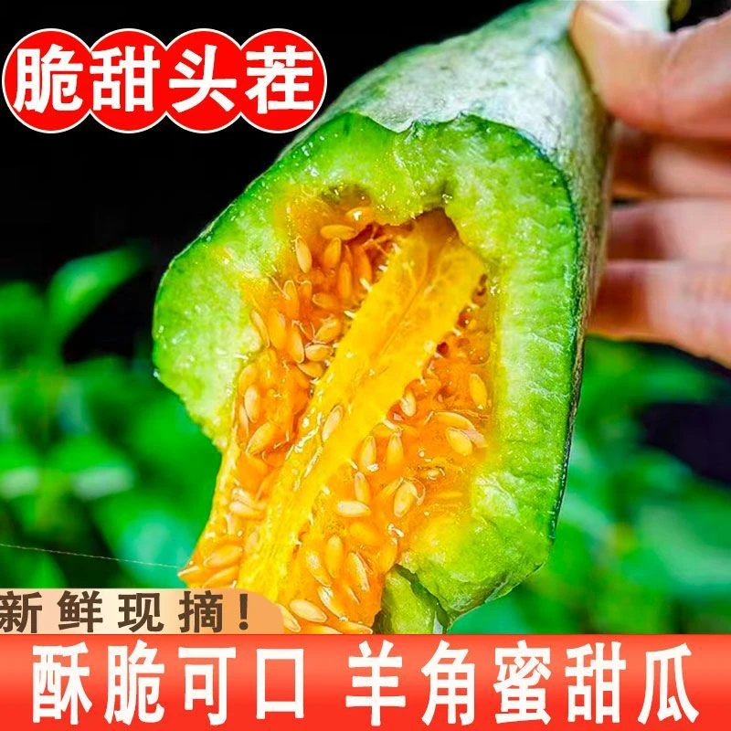 【限量5斤抢】头茬羊角蜜甜瓜山东新鲜当季水果现货蜜瓜整箱脆甜1/3